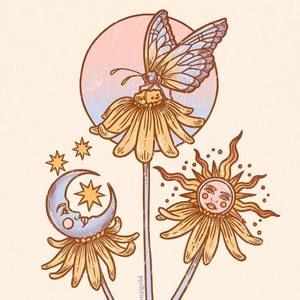 Meet your Posher, Lexy